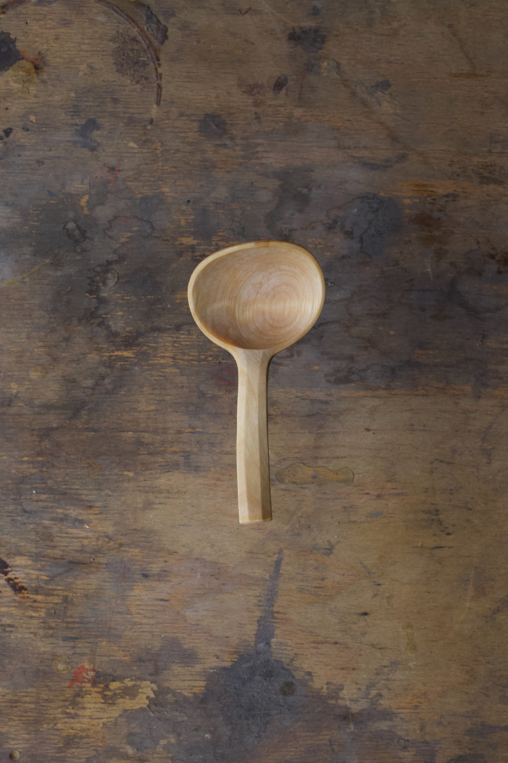 Little Scoop in Birch