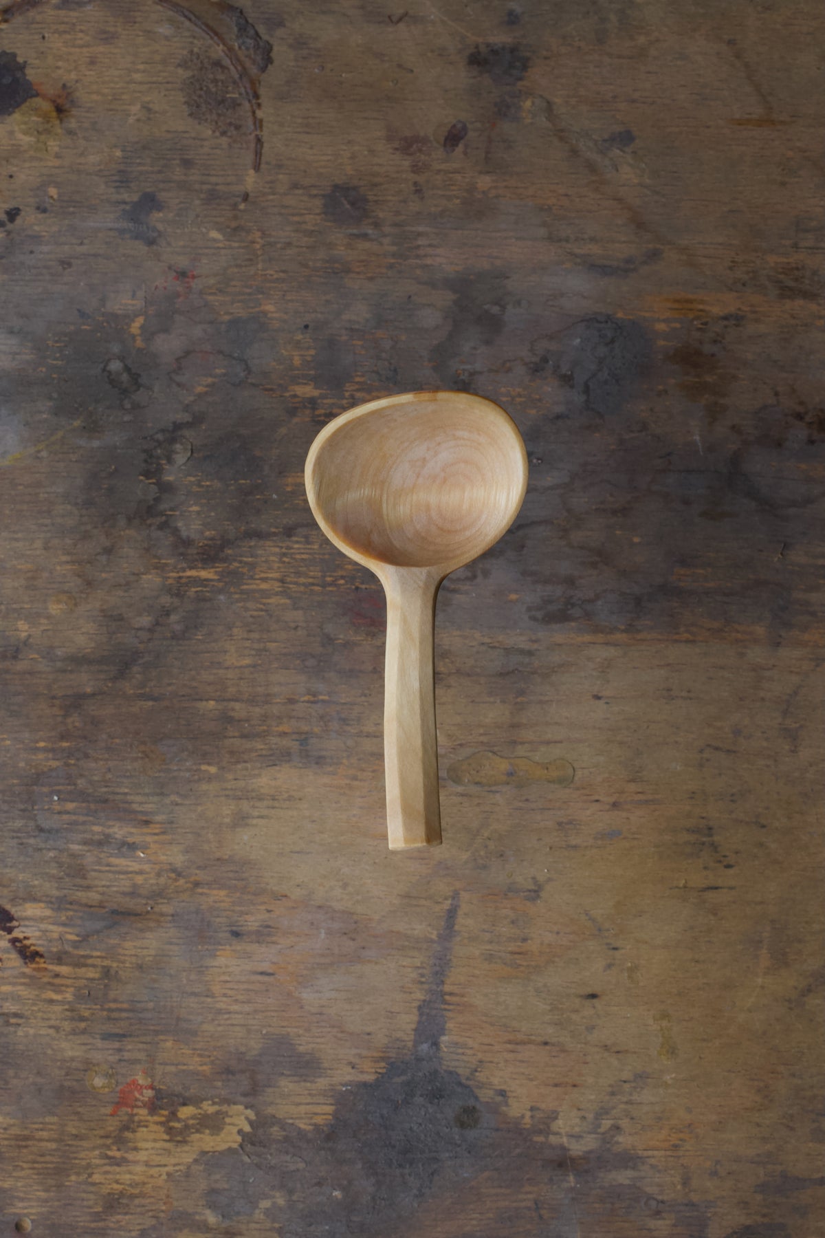Little Scoop in Birch